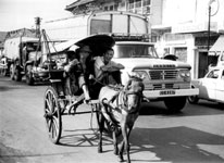 Sounds from my&nbsp;youth