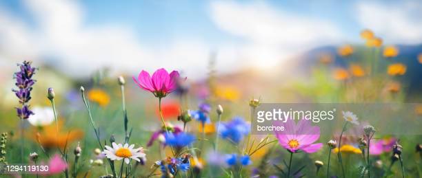 The shortness of&nbsp;life