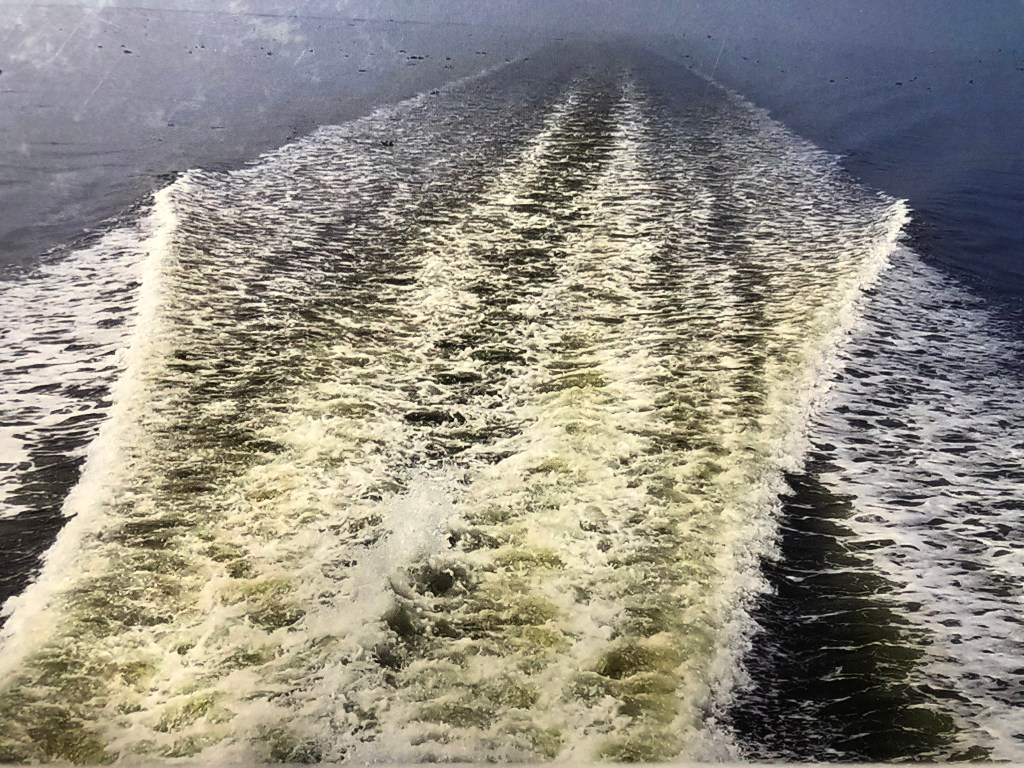 New horizon, new problem